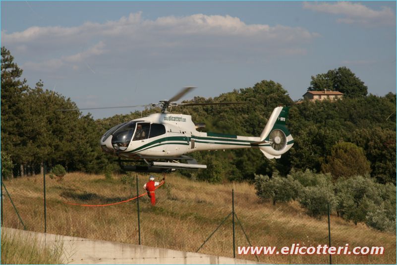 elifoto (151)